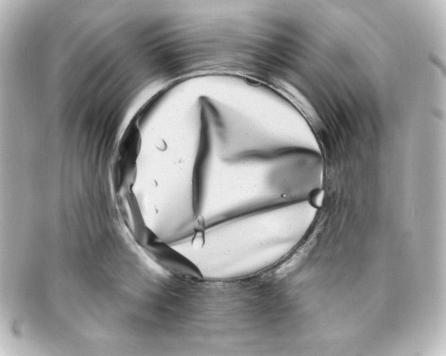 X0000098150812200805081040