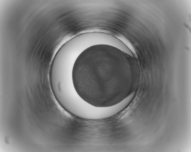 X0000098150813200805081040