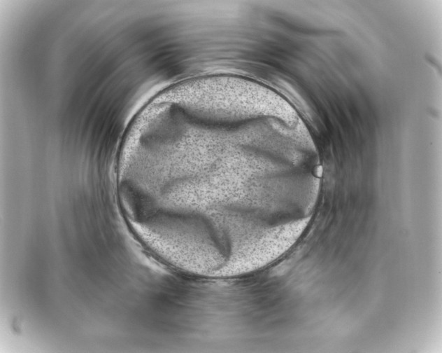 X0000098150814200805081040