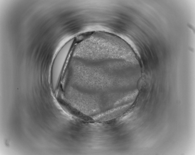 X0000098150815200805081040