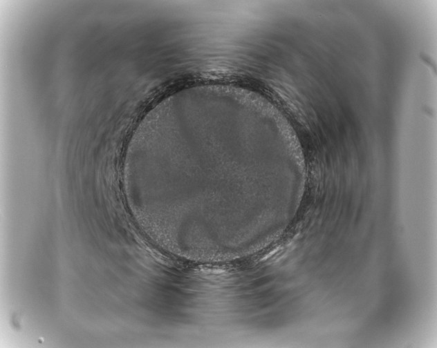 X0000098150817200805081040