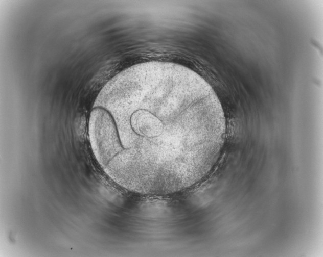 X0000098150820200805081040