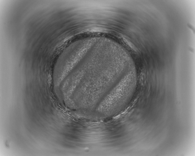 X0000098150821200805081040