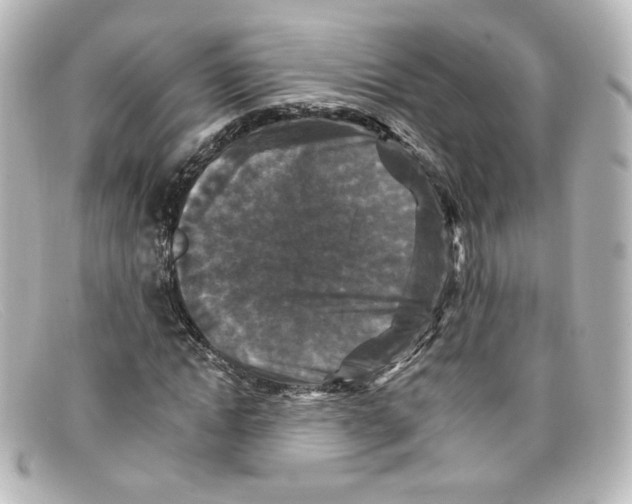 X0000098150822200805081040