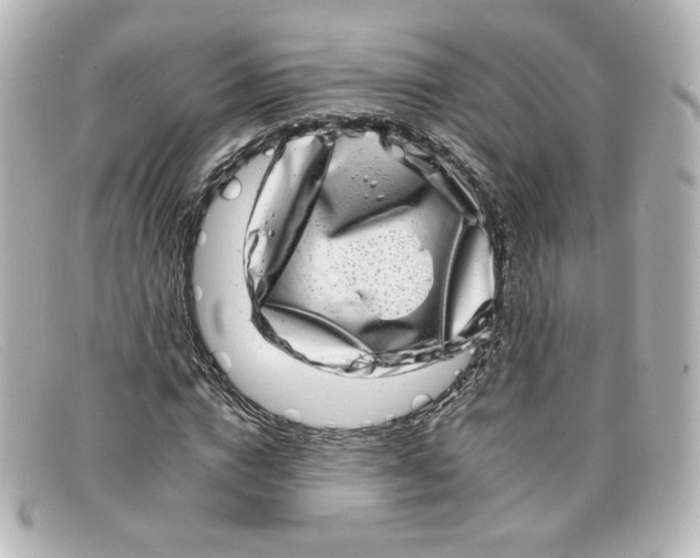 X0000098150824200805081040