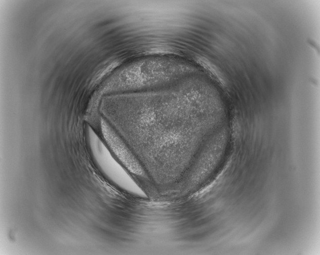 X0000098150825200805081040