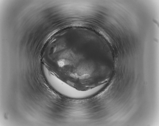 X0000098150829200805081040
