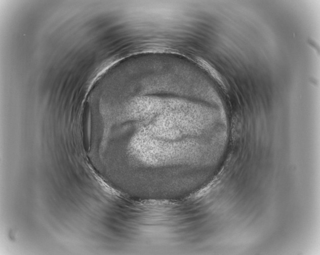 X0000098150831200805081040