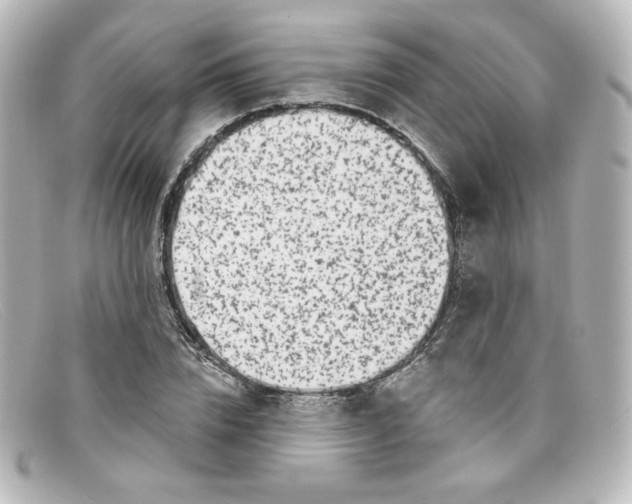 X0000098150832200805081040