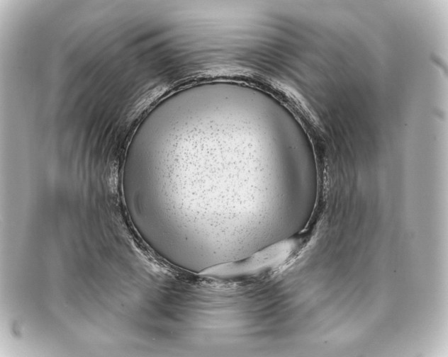X0000098150833200805081040