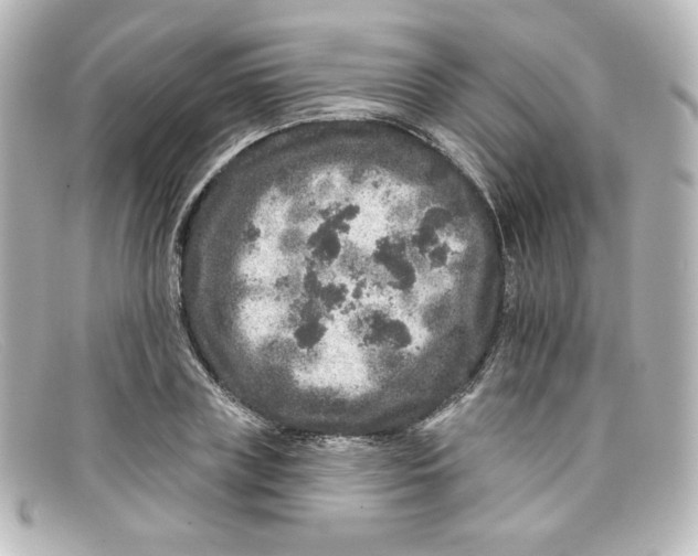 X0000098150835200805081040