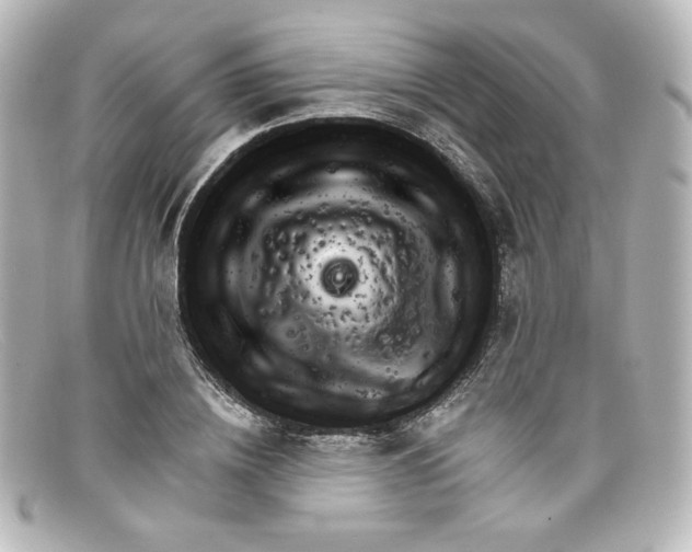 X0000098150836200805081040
