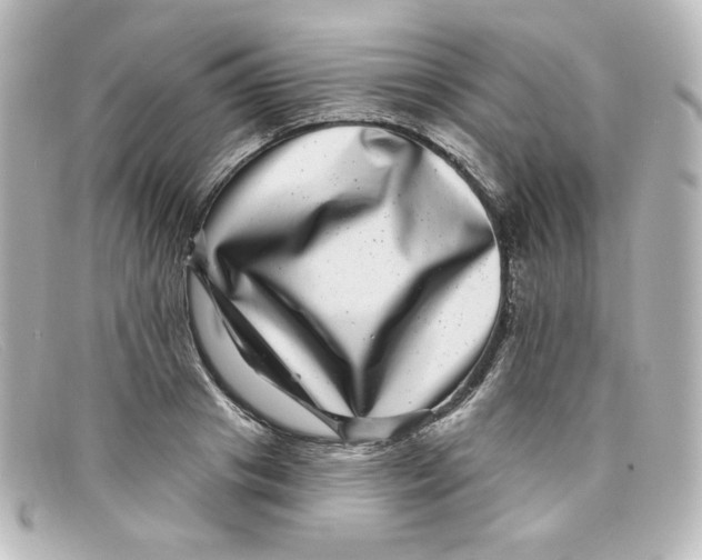 X0000098150841200805081040