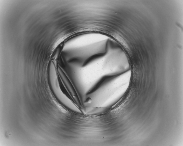 X0000098150842200805081040