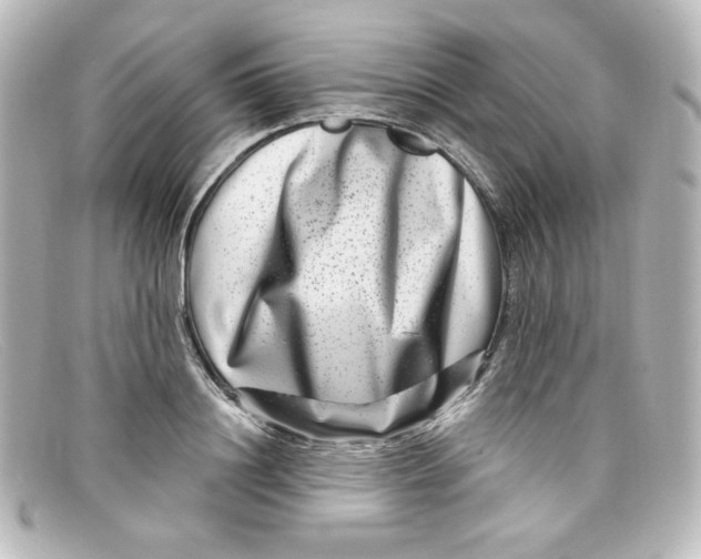 X0000098150844200805081040