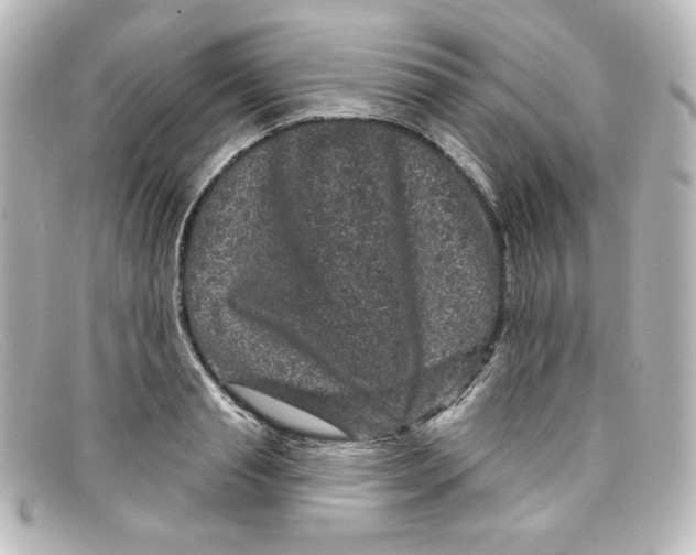 X0000098150845200805081040