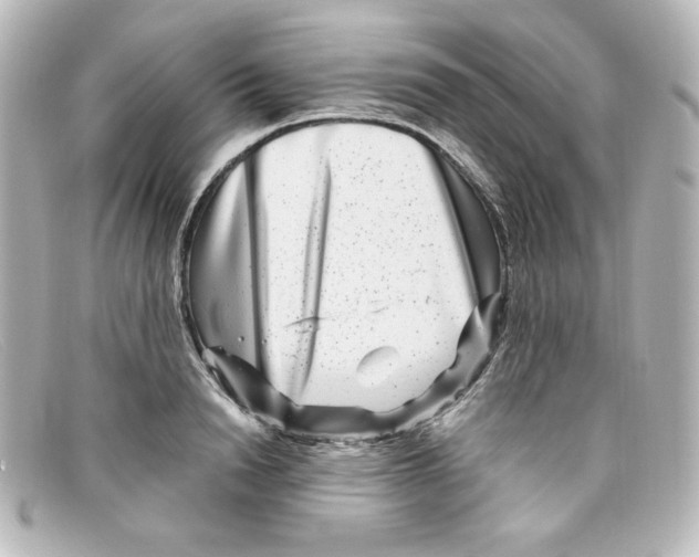 X0000098150846200805081040