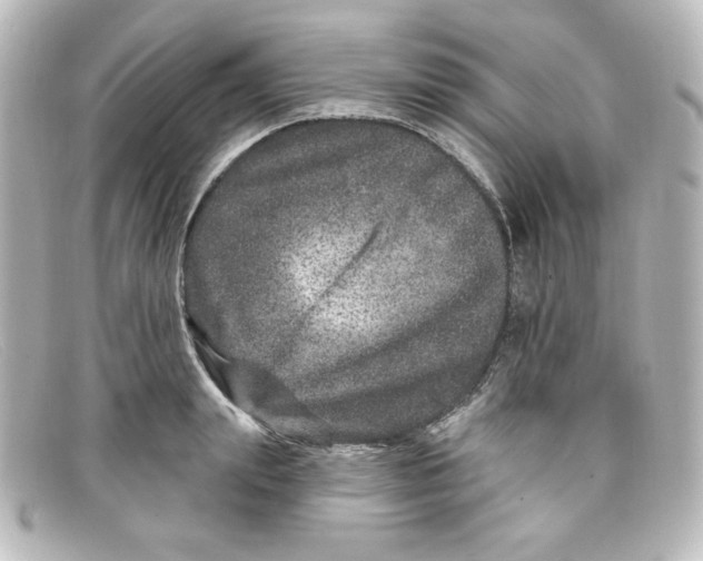 X0000098150847200805081040