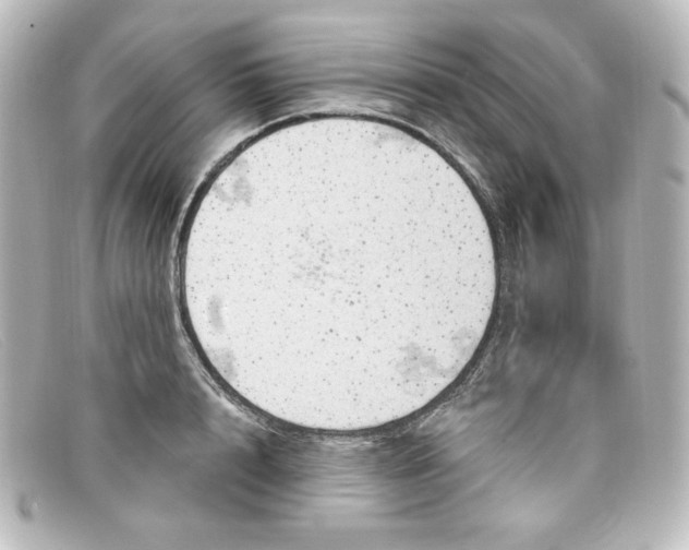 X0000098150848200805081040
