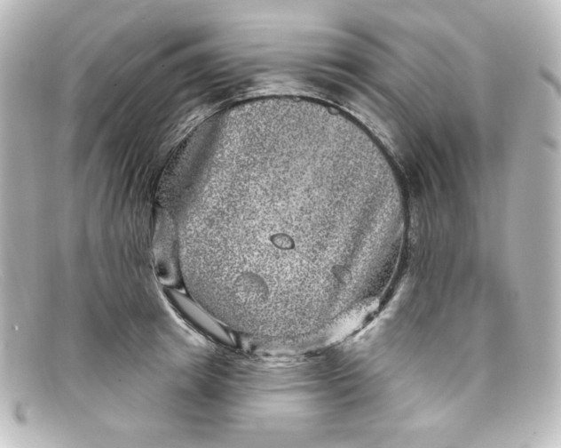 X0000098150849200805081040