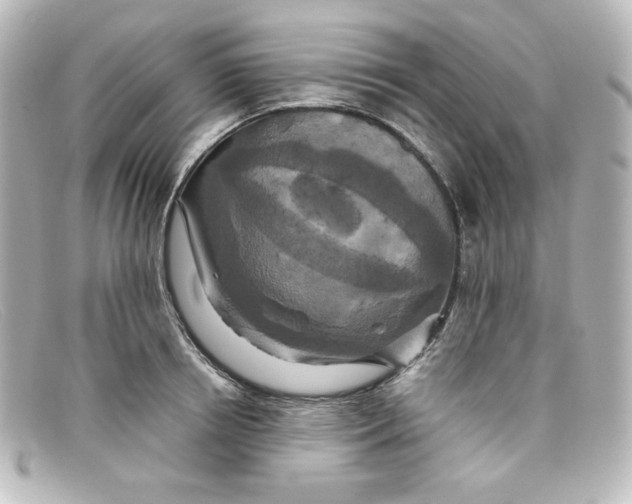 X0000098150850200805081040