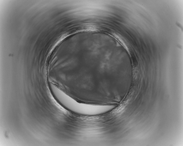 X0000098150851200805081040