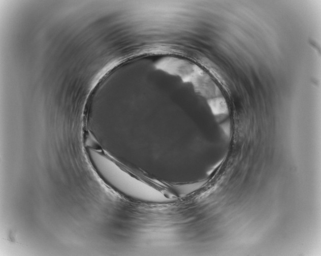 X0000098150853200805081040