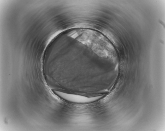 X0000098150854200805081040