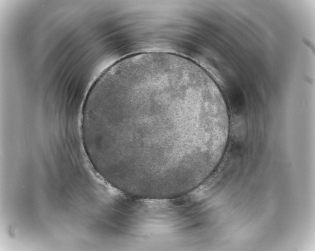 X0000098150856200805081040