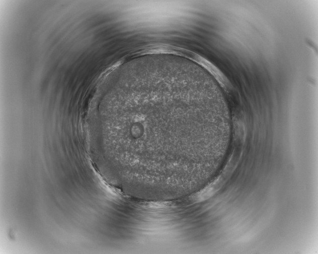 X0000098150857200805081040