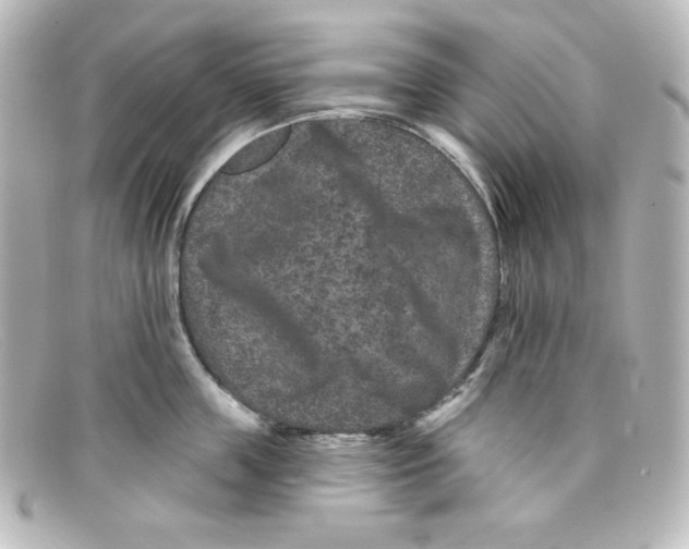 X0000098150859200805081040