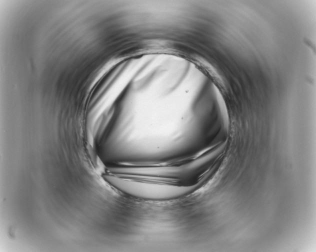 X0000098150860200805081040