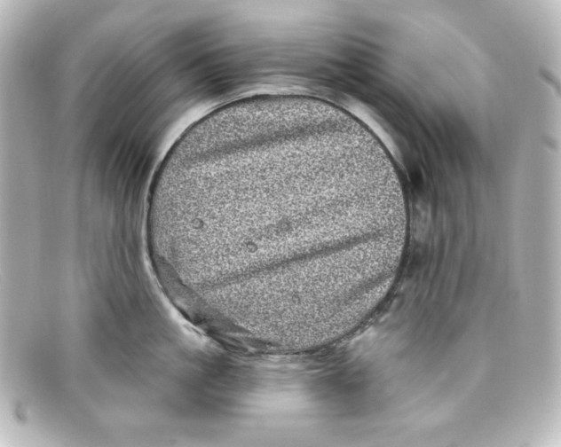 X0000098150861200805081040