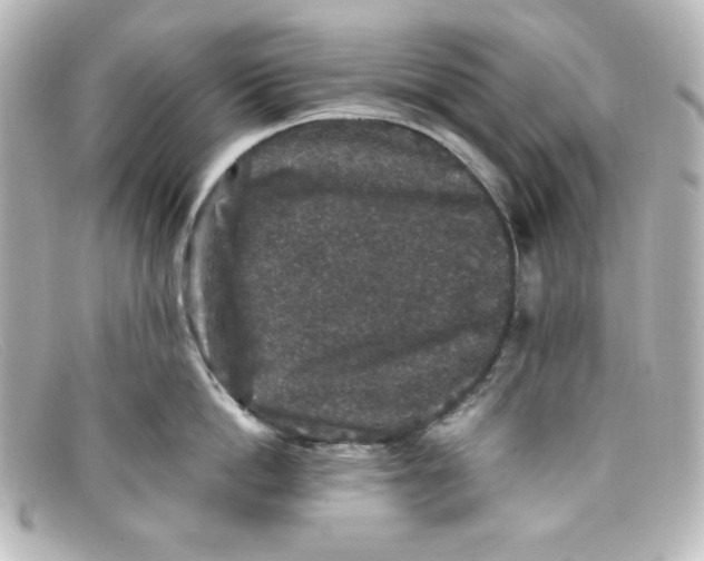 X0000098150862200805081040