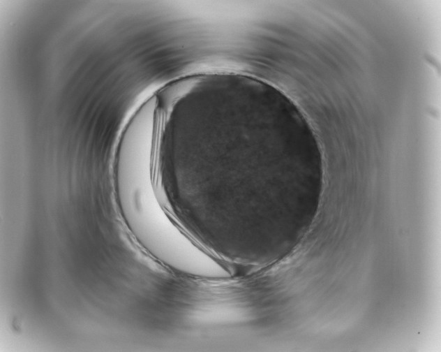 X0000098150864200805081040