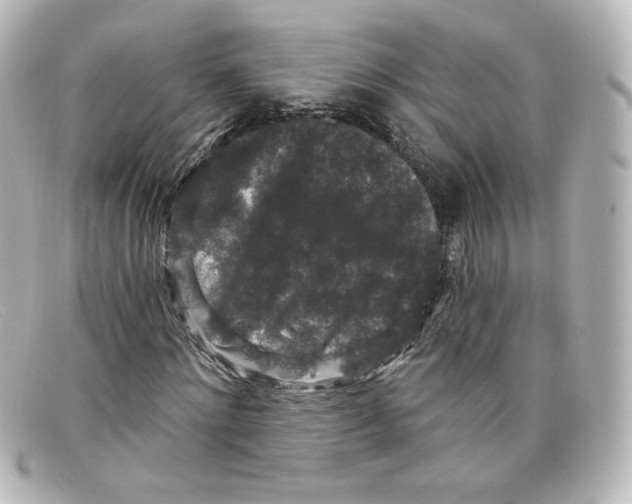 X0000098150868200805081040