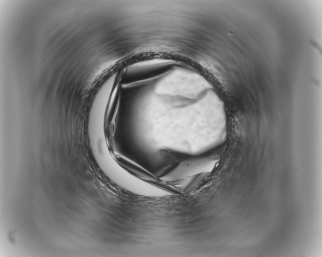X0000098150872200805081040