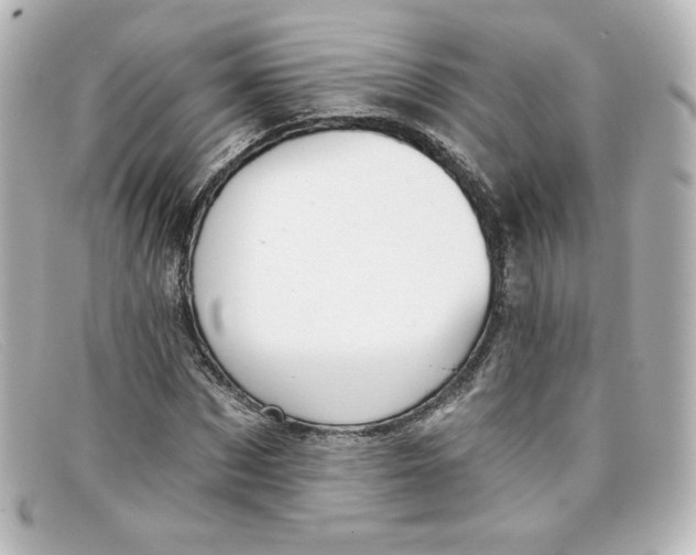 X0000098150873200805081040