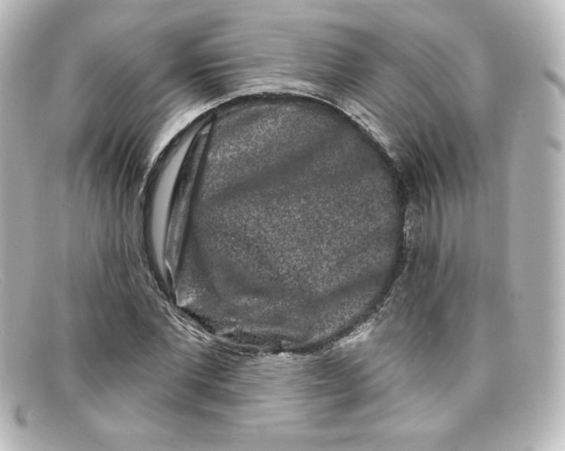 X0000098150877200805081039
