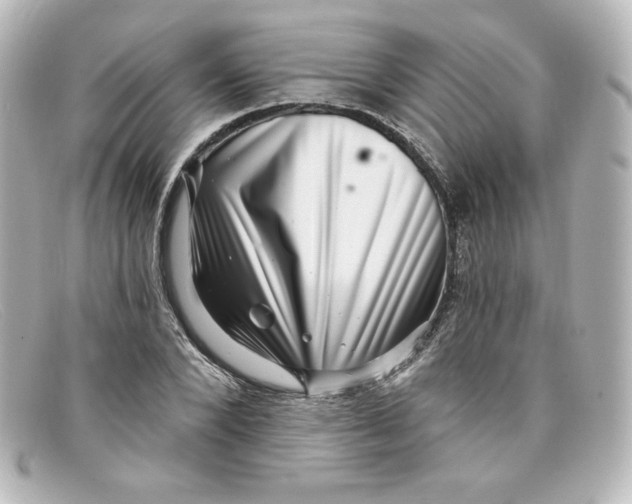 X0000098150880200805081039