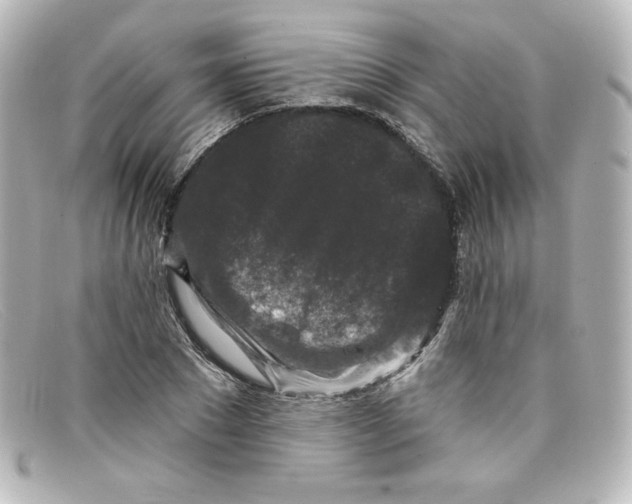 X0000098150881200805081039