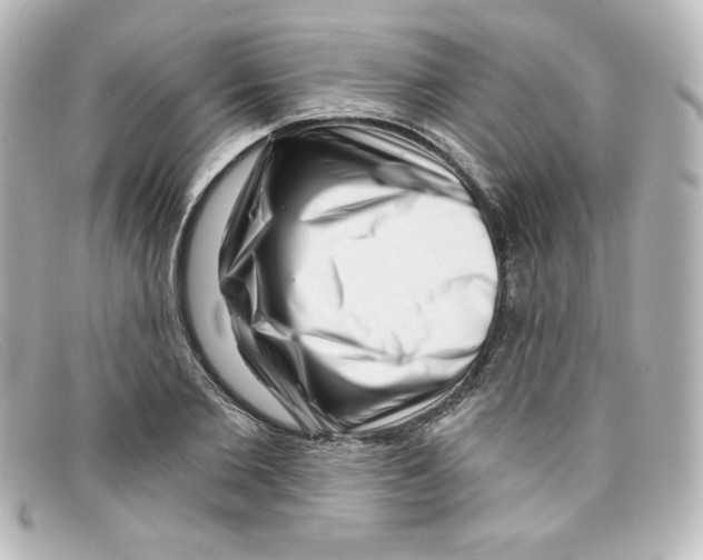 X0000098150885200805081039