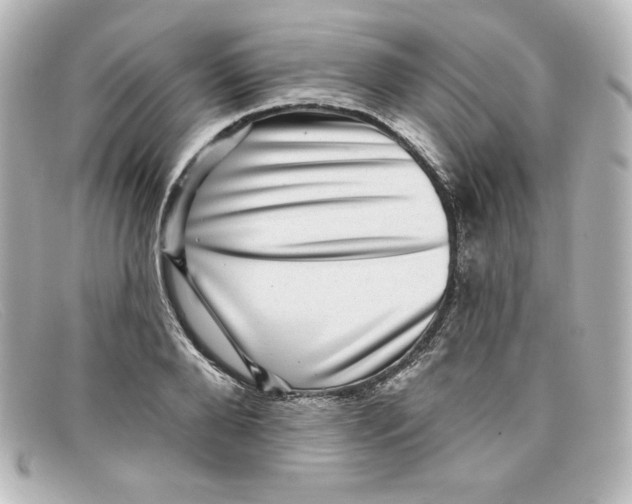 X0000098150888200805081039