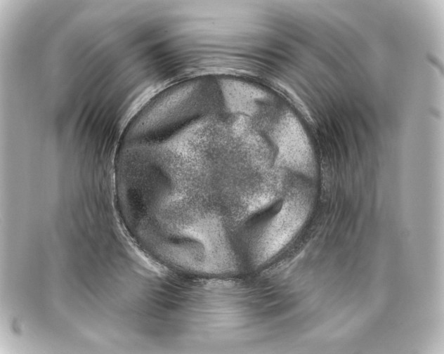 X0000098150890200805081039