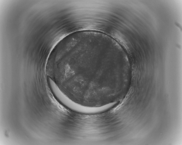 X0000098150892200805081039