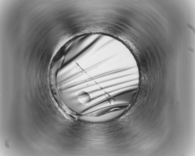 X0000098150894200805081039