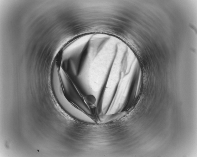 X0000098150896200805081039