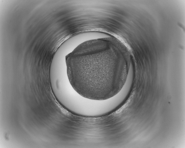 X0000098150897200805081039