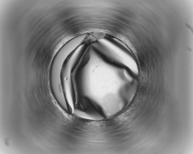 X0000098150898200805081039