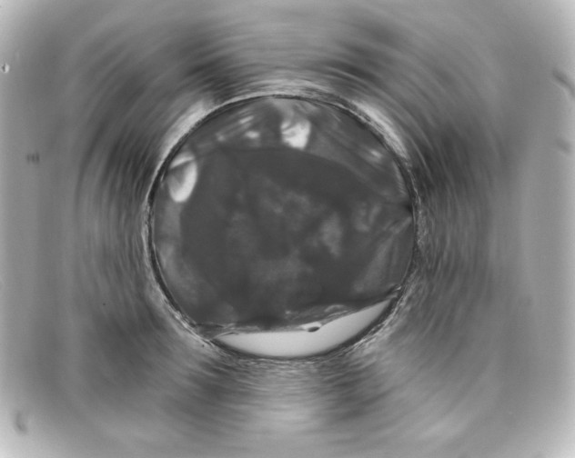 X0000098150899200805081039